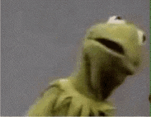 Kermit What The GIF - Kermit What The Spill The Tea GIFs
