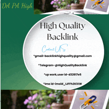a white plate with high quality backlink contact us written on it
