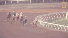 Horse Racing Survival Of The Friendliest GIF - Horse Racing Survival Of The Friendliest Race GIFs
