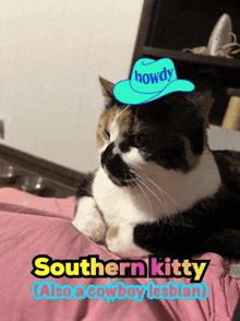 a calico cat wearing a blue cowboy hat with the words howdy on it