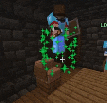 a screenshot of a video game with the name rienthedog on the bottom
