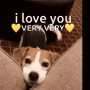 Puppy Love I Love You GIF - Puppy Love I Love You Cute GIFs