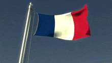 a french flag is waving in the wind
