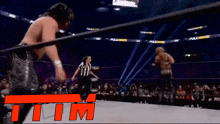 a wrestling match is going on in front of a crowd and the letters tm are visible in the corner