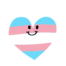 trans day