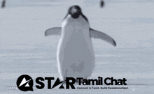 a star tamil chat advertisement with a penguin in the foreground