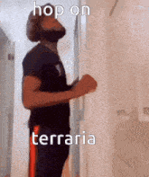 Hop On Terraria GIF - Hop On Terraria Terraria Hop On GIFs