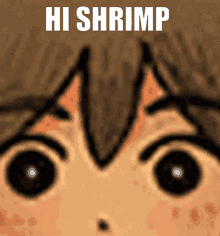Escam Shrimp Tank GIF - Escam Shrimp Tank Shrimp GIFs