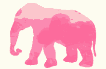 Rainbow Elephant GIF