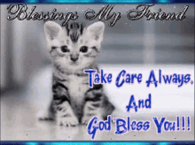 Blessings Take Care GIF - Blessings Take Care Cat GIFs