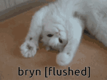 Bryn Flushed GIF - Bryn Flushed GIFs