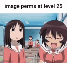 No Image Perms Image Perms At Level 25 GIF