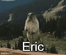 Eric Eric Beaver GIF - Eric Eric Beaver Eric Screaming Beaver GIFs