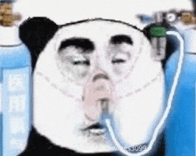 a panda bear is wearing an oxygen mask on his face