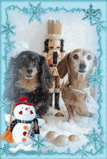 Christmas Dog GIF - Christmas Dog Pet GIFs