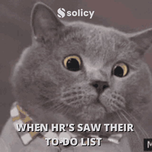 Solicy Human Resources GIF - Solicy Human Resources GIFs