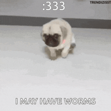 Worms May GIF - Worms May GIFs