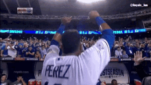 a baseball player with the name perez on his back