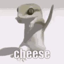 Cheese Cheese Lizard Dance GIF - Cheese Cheese Lizard Dance Lizard GIFs