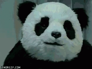 smiling panda gif