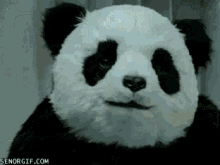 evil-panda.gif