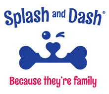 Splash And Dash GIF