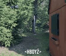 Boom Forest GIF - Boom Forest Bang GIFs