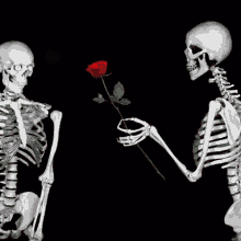 in love rose skeleton skull halloween