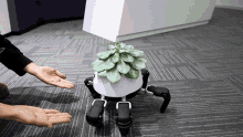Robots Domésticos GIF - Robots Domésticos Pet GIFs