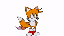 tails the fox miles tails prower classic tails cute idle