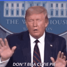 Donald Trump Talking GIF - Donald Trump Talking Dont Be A Cutie Pie GIFs