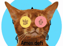 Ames Defi Vertek Labs GIF - Ames Defi Vertek Labs Vertek Defi GIFs