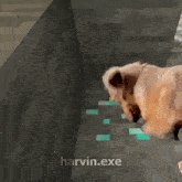 Minecraft Dog GIF - Minecraft Dog Funny GIFs