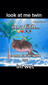 a meme of a cat swimming in the ocean with the caption look at me twin im a fihh come swim with me im wet