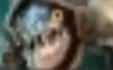 a blurry picture of a skull wearing a hat and goggles .