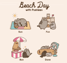 beach beach day pusheen cat pusheen vacation