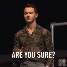Are You Sure Kevin Jonas GIF - Are You Sure Kevin Jonas Saturday Night Live GIFs