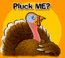 Happy Thankgiving GIF