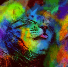 Slycatt хитрый кот GIF