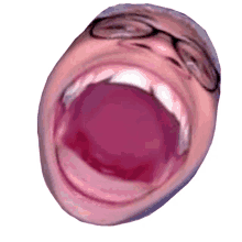 ranoroxa rano roxa ranoroxa rano roxa