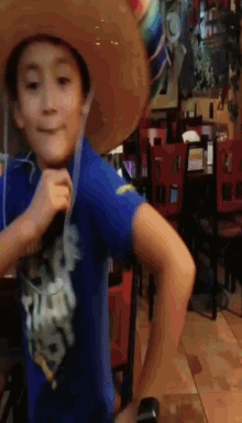 a young boy wearing a cowboy hat and a blue shirt with a picture of a lion on it