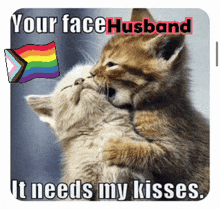 two kittens kissing with the words your face husband it needs my kisses on the bottom