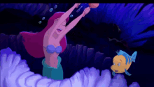 ariel party flounder little mermaid