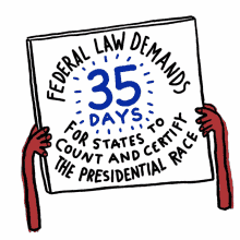 federal law demands35days 35days for states to count and certify the presidential race democracy count every vote