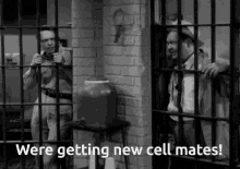Cell Mates In Jail GIF