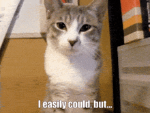 I Ealisy Could Disgust GIF - I Ealisy Could Disgust Cat GIFs