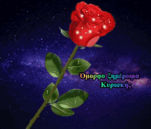 καληνυχτα Flower GIF - καληνυχτα Flower Rose GIFs