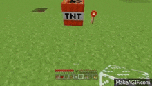 a tnt block is sitting in the middle of a field in a minecraft game .