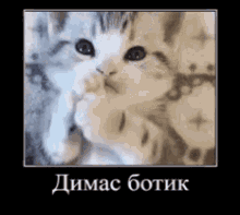 дима Dima GIF - Дима Dima Dmitry - Discover & Share GIFs