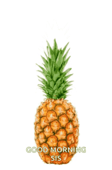 pineapple doggo